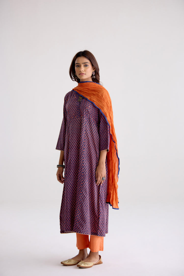 Neera Cotton Printed Embroidered Kurta Blue Pink (10106182009131)