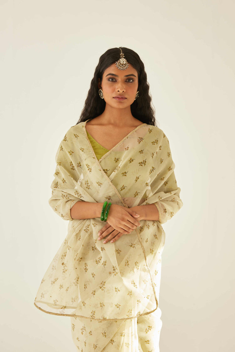 Floral Saree Pistachio (8571312767275)