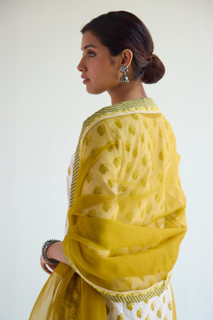 Medh Dupatta Yewllowish Green (9480533475627)