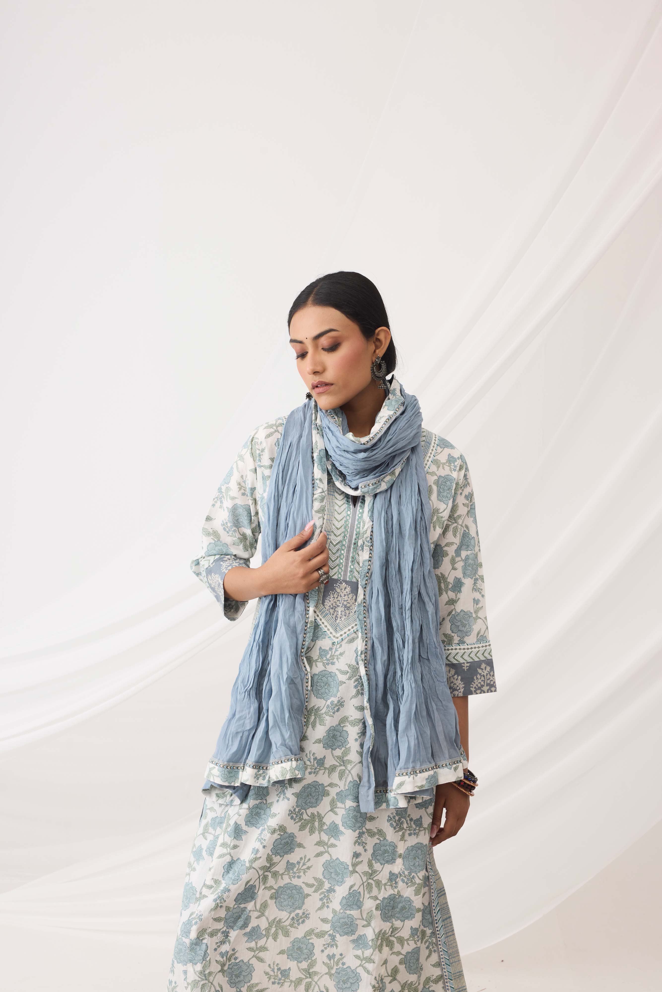 Rozana Dupatta Grey (9965358317867)