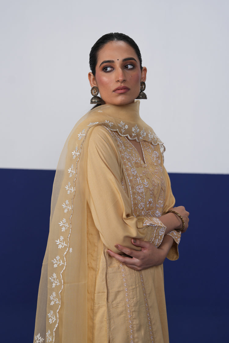 Tulsi Dupatta Beige