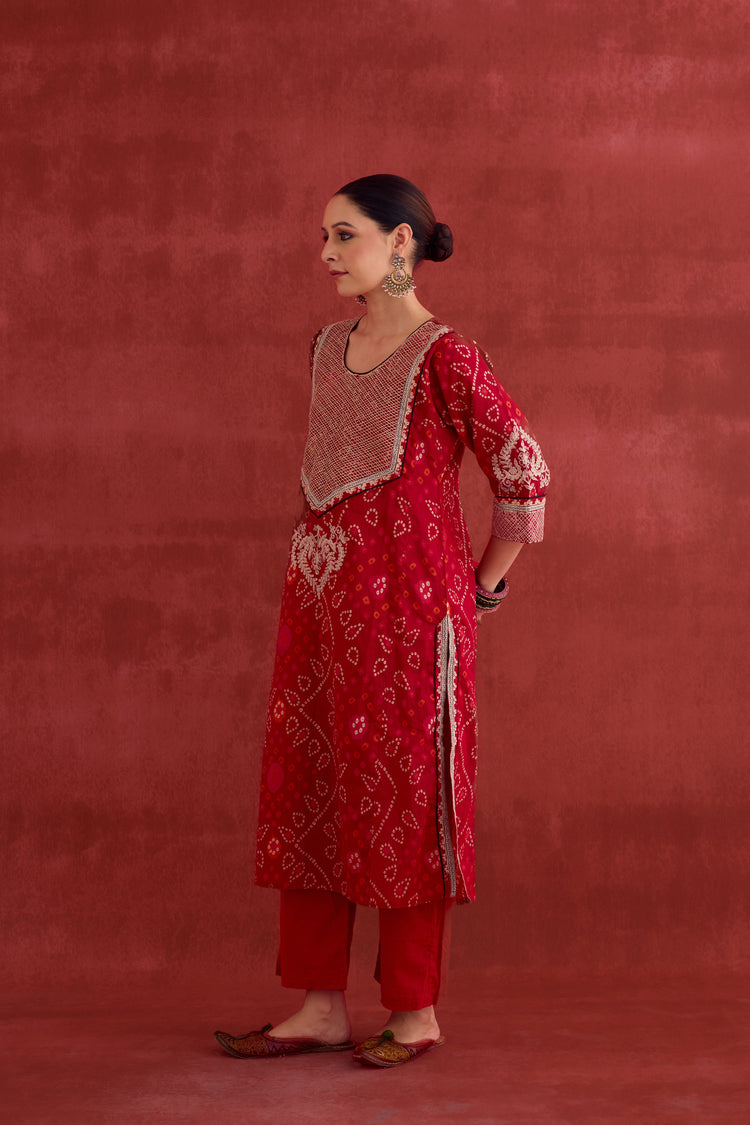 Dienne Embroidered Printed Kurta Red (10040123851051)