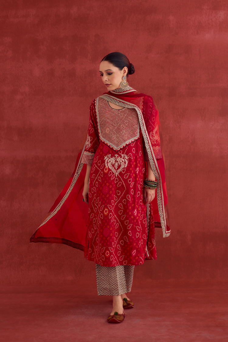 Dienne Embroidered Printed Kurta Red (10040123851051)