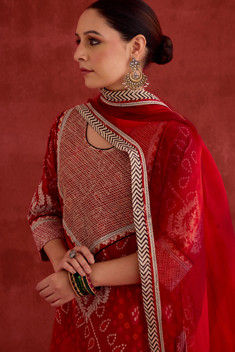 Dienne Embroidered Printed Kurta Red (10040123851051)