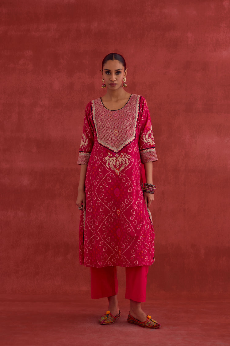 Dienne Embroidered Printed Kurta Pink (10049516929323)