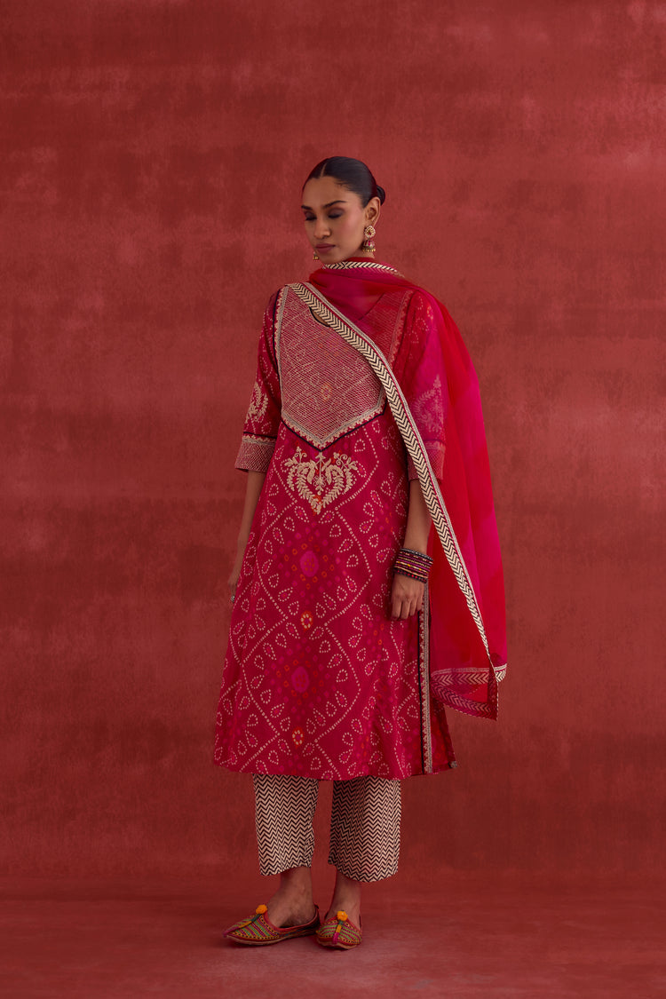 Dienne Embroidered Printed Kurta Pink (10049516929323)