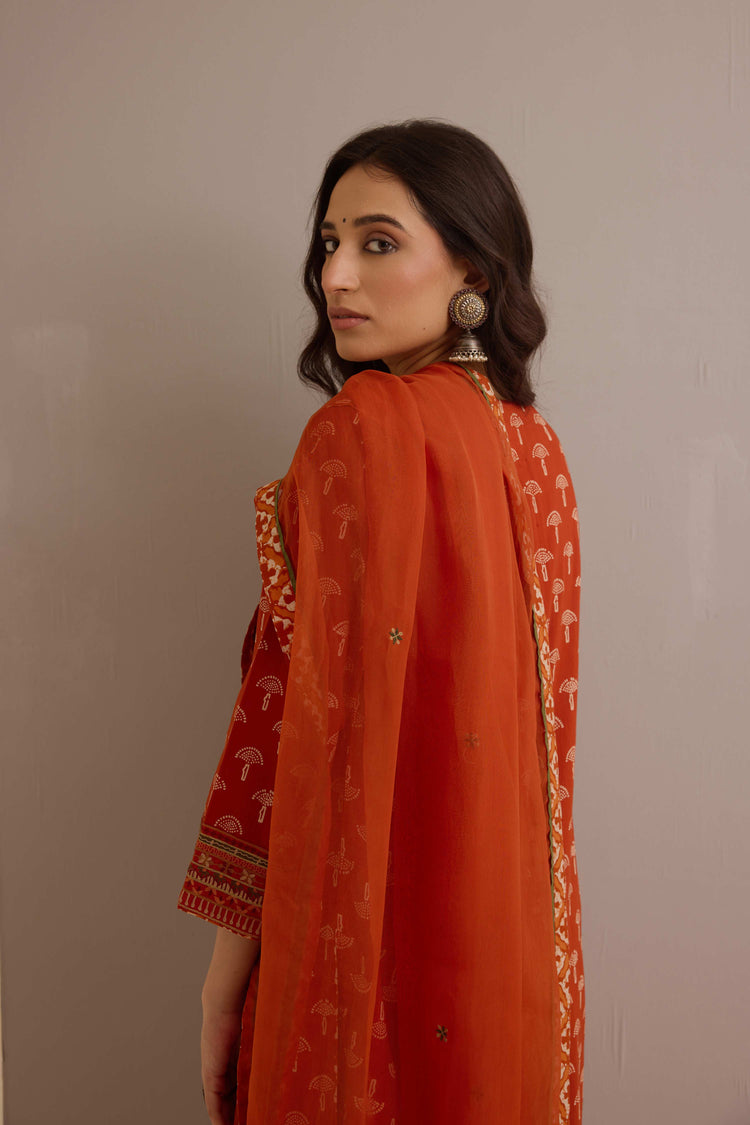 Embroidered Treated Chiffon Dupatta Rust