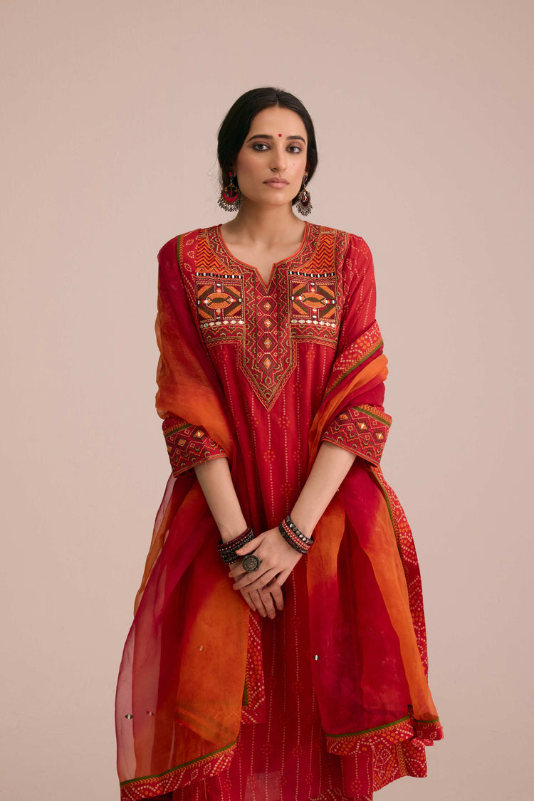 Medh Embroidered Treated Chiffon Dupatta Red