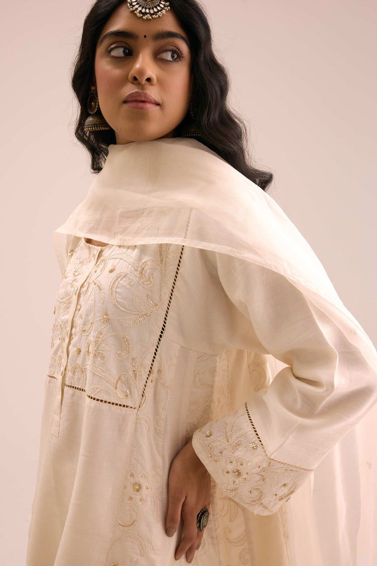 Medh Embroidered Treated Chiffon Dupatta Cream