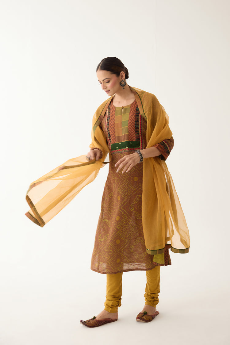 Rozana Kurta Brown/ Green (Set of 3) (9997124370731)