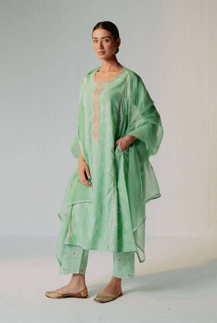 Tulsi Pant Sage (8228966072619)