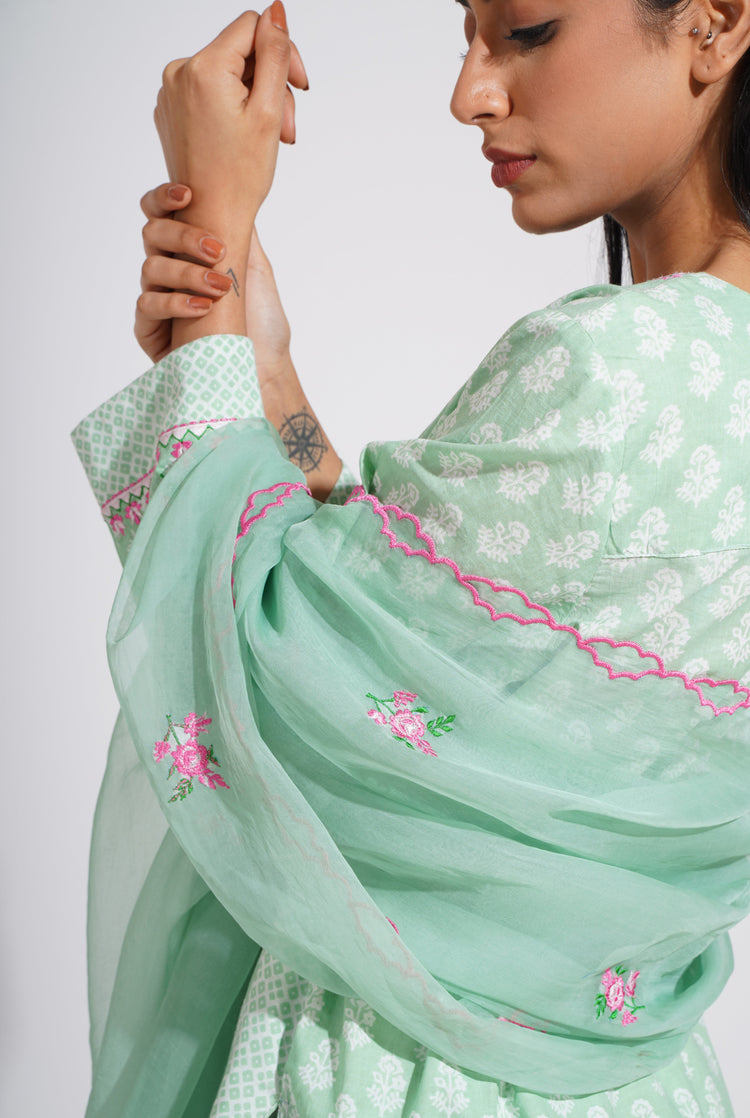 Reva Dupatta Sage (8054067757355)