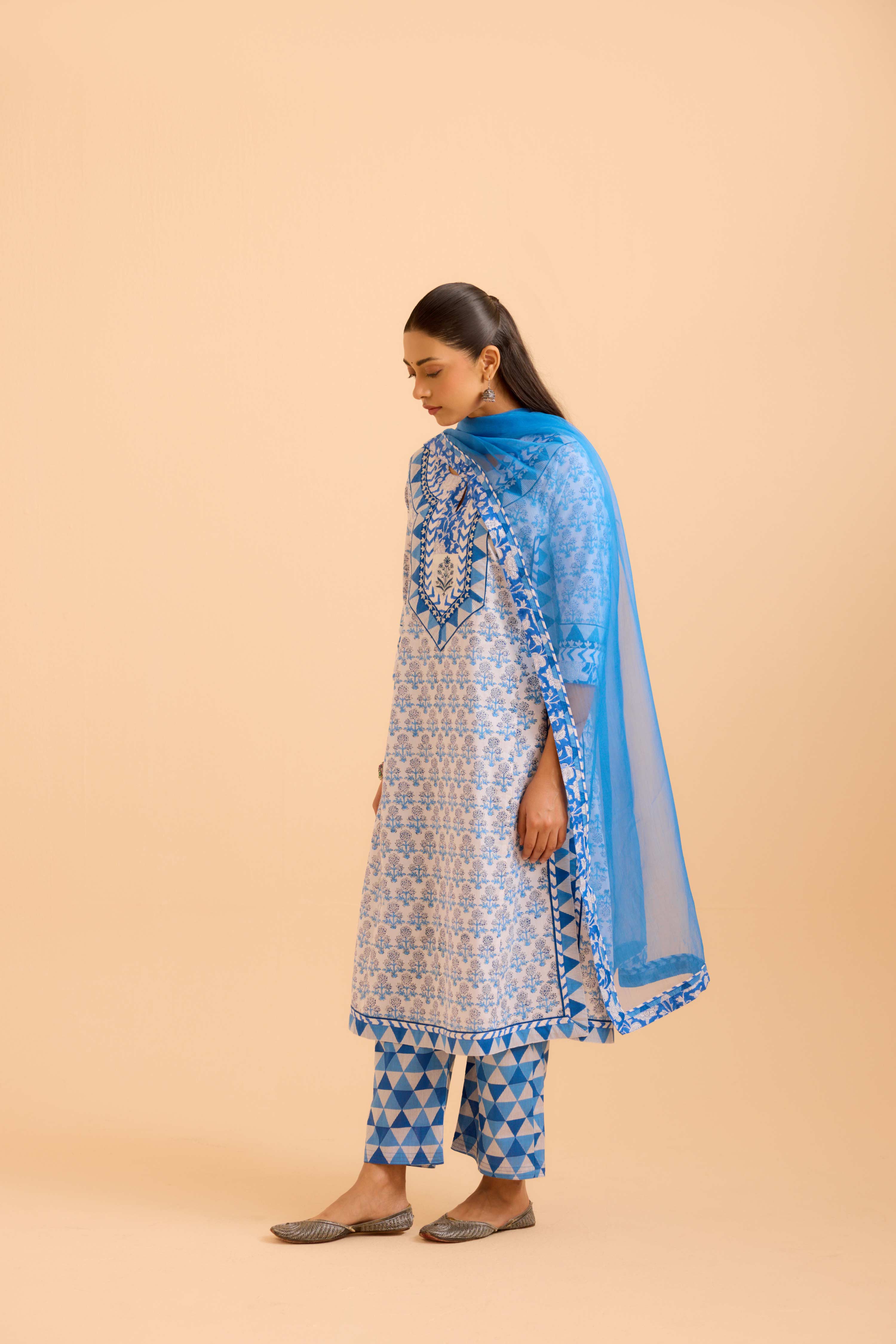 Medh Dupatta Blue