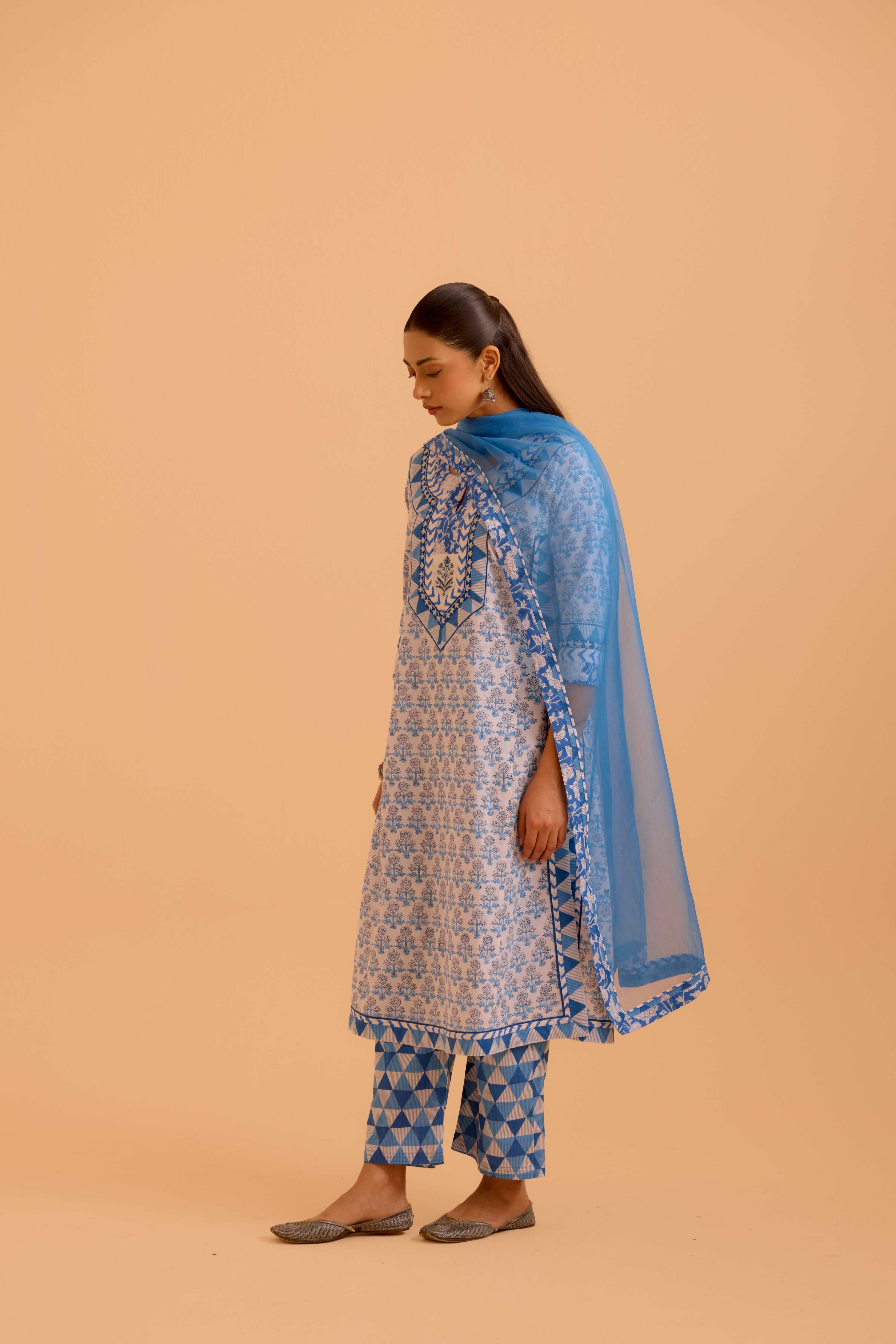 Medh Dupatta Blue