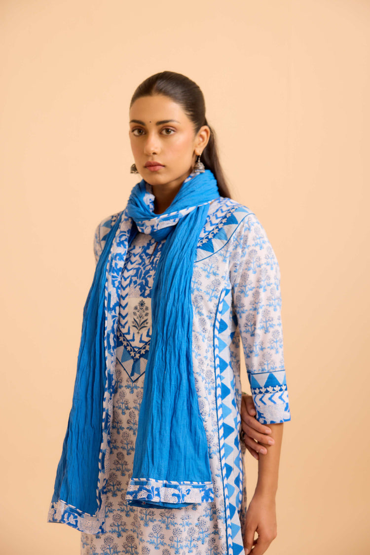 Rozana Dupatta Blue