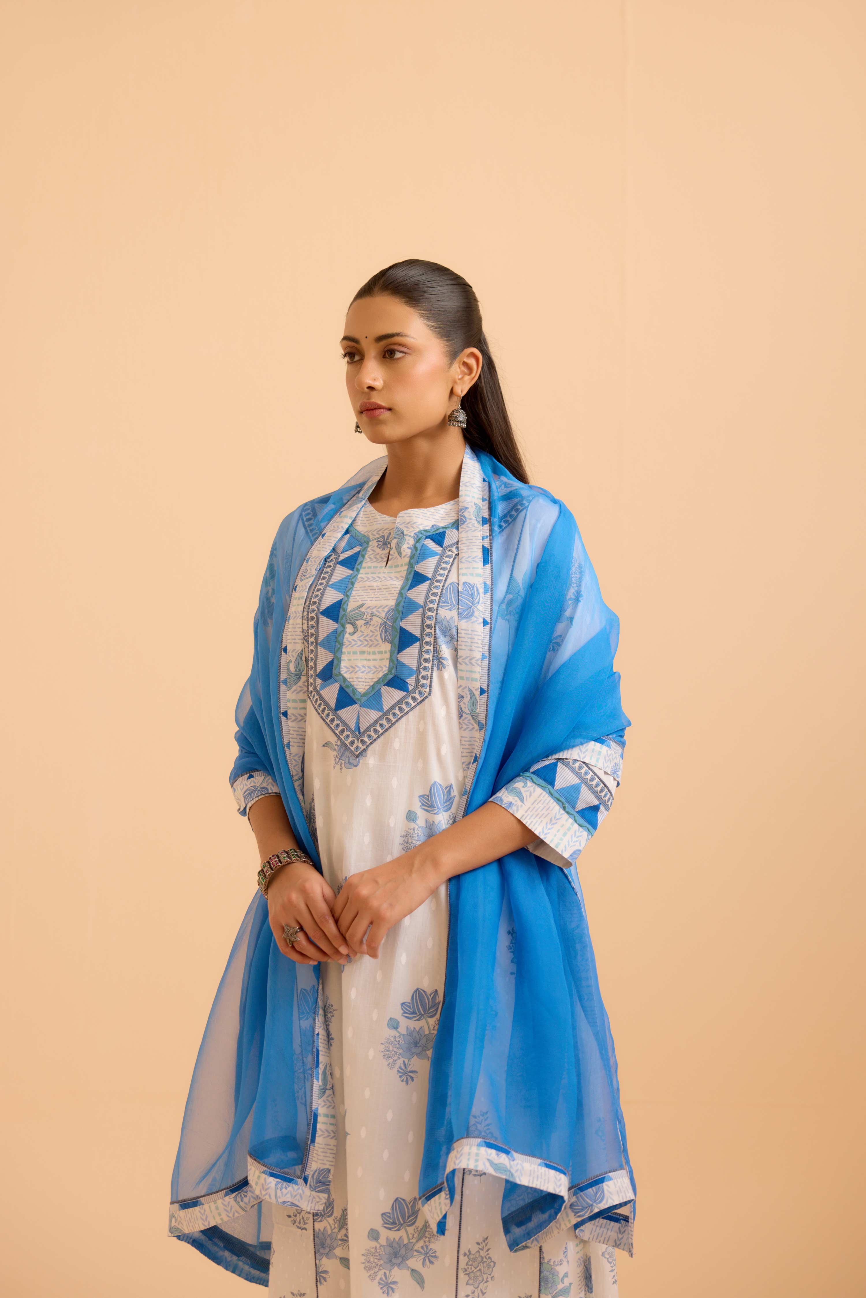 Medh Dupatta Blue