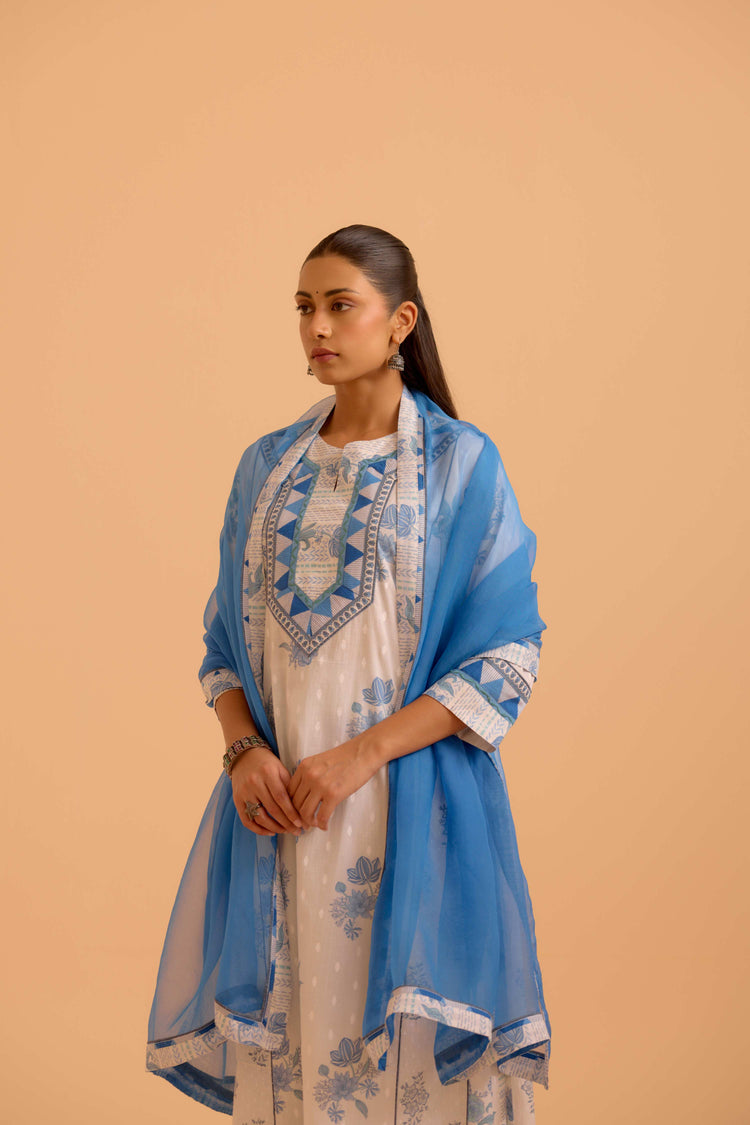 Medh Dupatta Blue