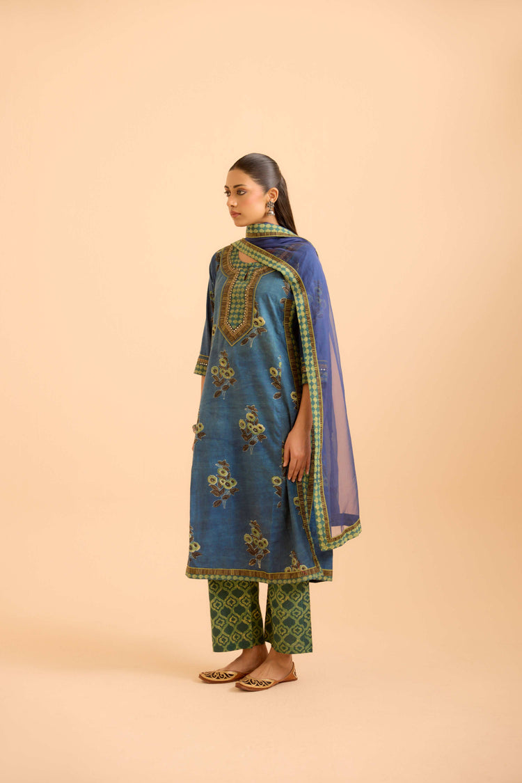 Anu Cotton Vanaspati Printed Kurta Blue