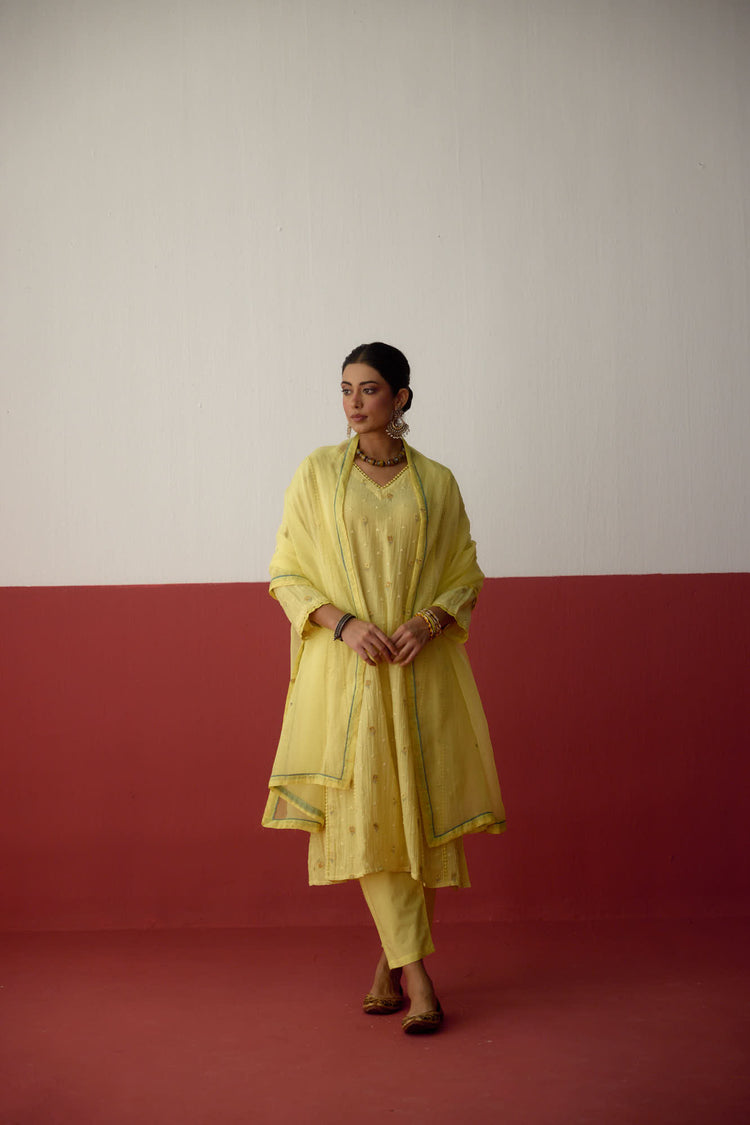 Tulsi Mul Cotton Embroidered Kurta Light Yellow (10083636740395)