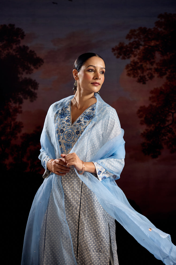 Daisy Cotton Printed Embroidered Kurta White Blue (Set Of 2)