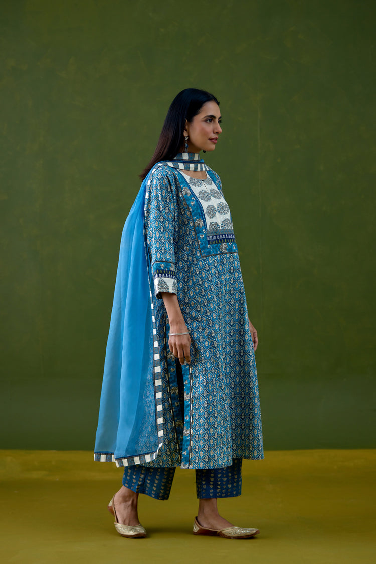 Rozana Cotton Printed Kurta Blue