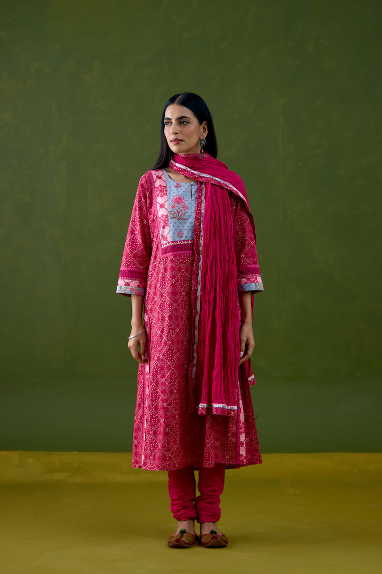 Rozana Cotton Printed Kurta Pink