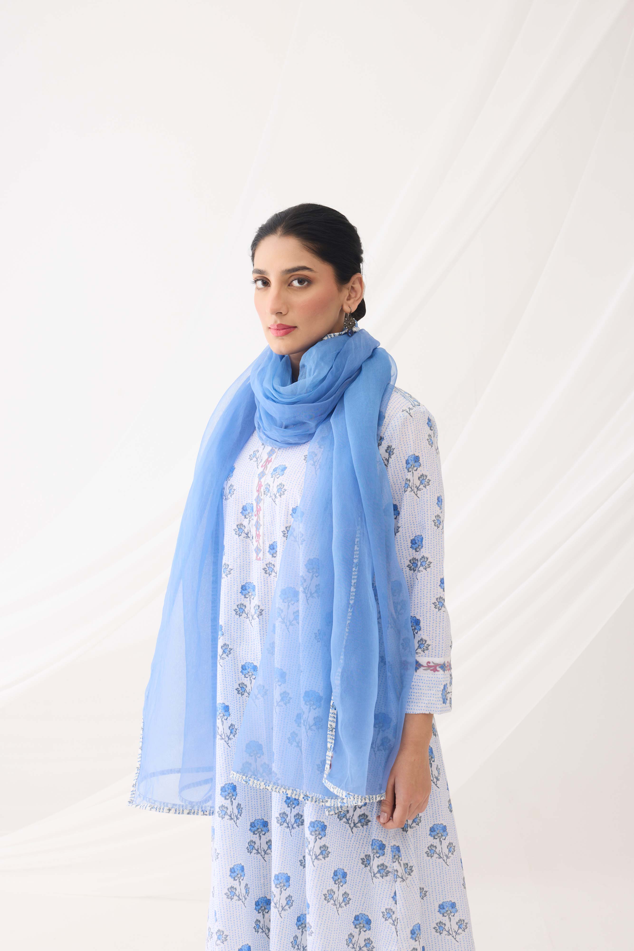 Myra Dupatta Light Blue (9964085149995)
