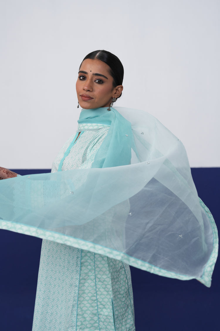Ramya Dupatta Light Turquoise