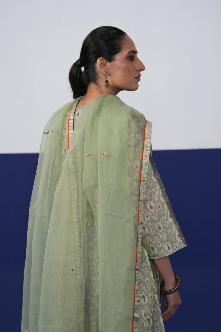 Aruni Dupatta Sage Green