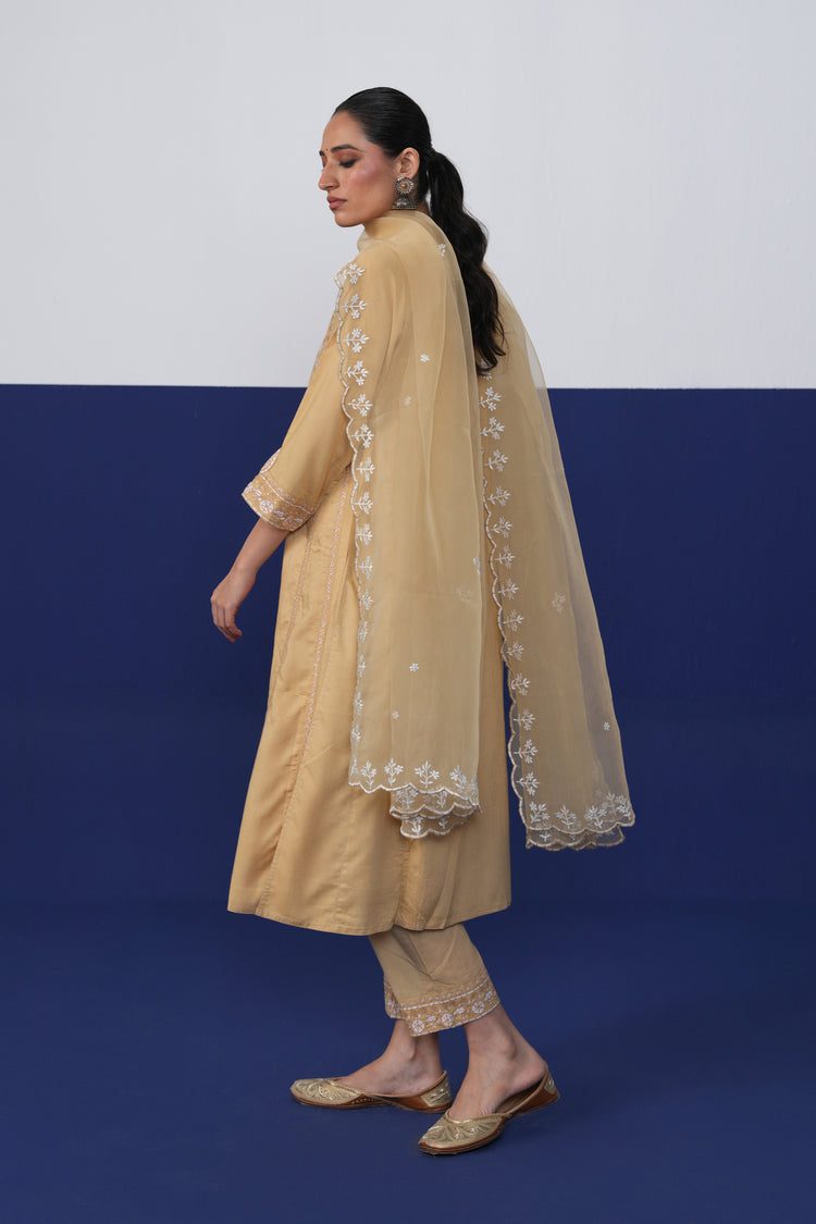 Tulsi Pant Beige