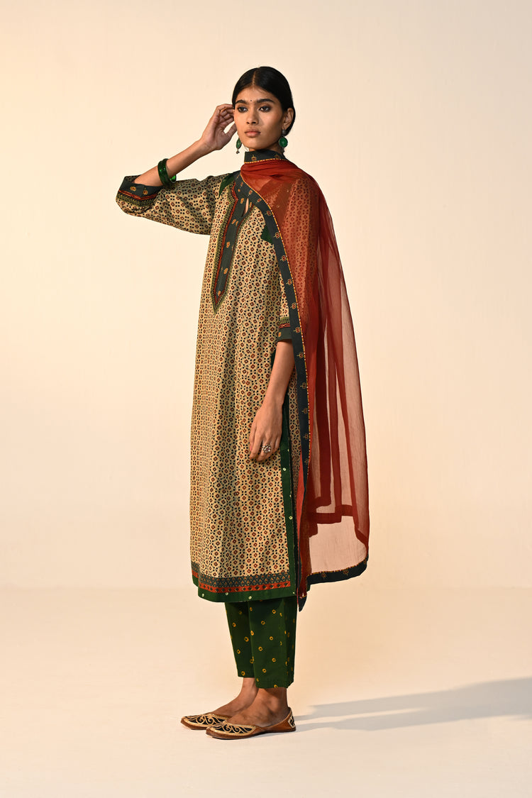 Medh Chiffon Dupatta Maroon