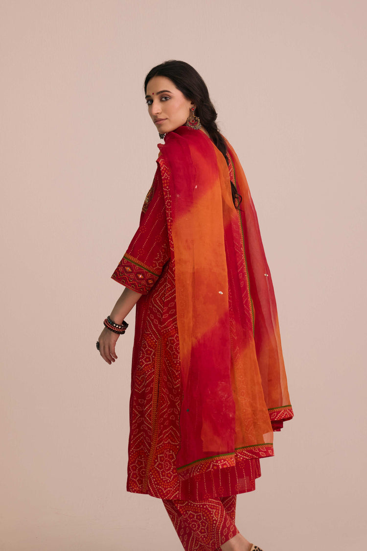 Tulsi Cotton Embroidered Printed Kurta Red