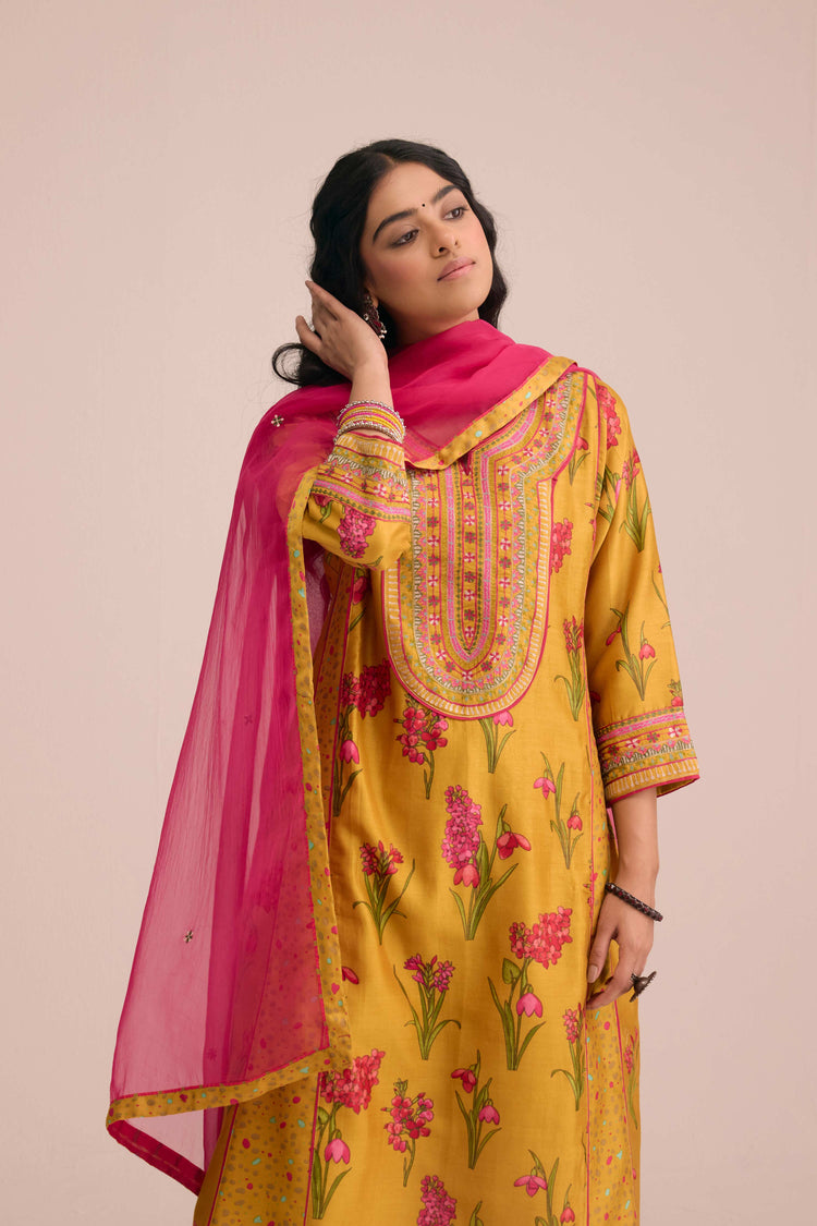 Medh Embroidered Treated Chiffon Dupatta Pink