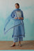 Rozana Chiffon Dupatta Light Blue (8344451121451)