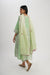 Dreamy Dupatta Ombrae Pastel Green (8054016344363)